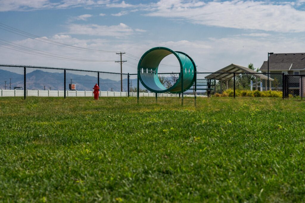 Fenced dog park with obstacles