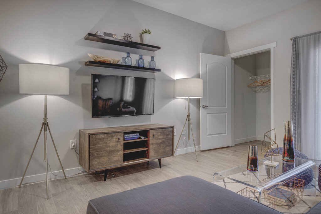 Open living room with large closet